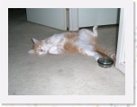 Tommy en Tymo 277 * 2048 x 1536 * (958KB)